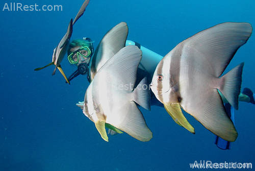 Kuramathi Blue Lagoon 48